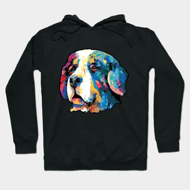 Bernese Hoodie by mailsoncello